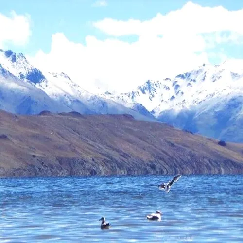 Mt. Kailash Mansarovar Tour via EBC